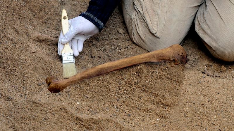 Illustration for article titled Archaeologists Discover Ancient Femur That Could Make Mouthwatering Broth