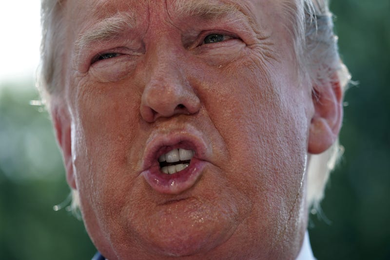 Illustration for article titled Your Little 'President' Is an Idiot Who Lacks Self-Awareness