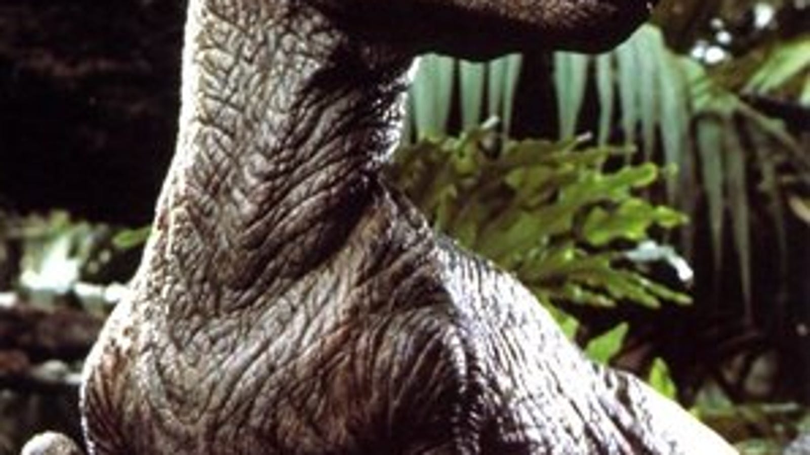 jurassic park velociraptor attack