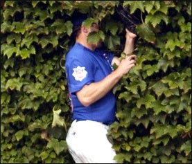 Illustration for article titled Some Dude Got Arrested For Breaking Into Wrigley Field And Ripping Ivy Off The Walls