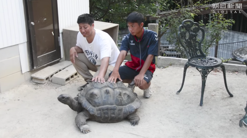 Image: Asahi Simbun/YouTube