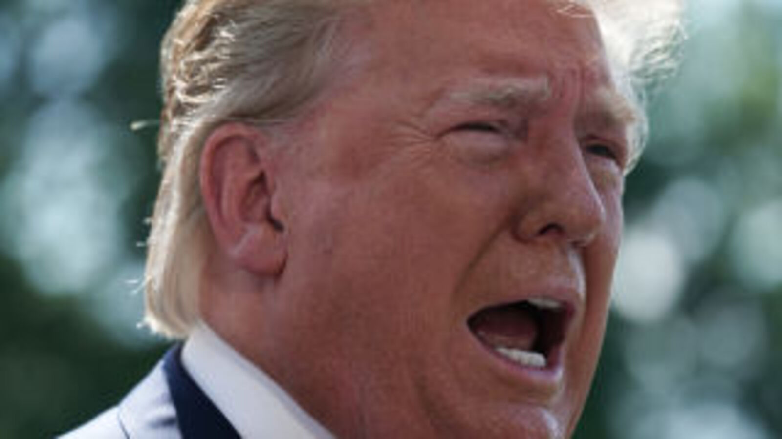 Wharton Admissions Officer: Donald Trump Was No Genius