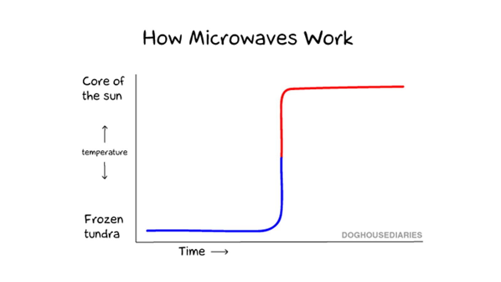 How Your Microwave Actually Works