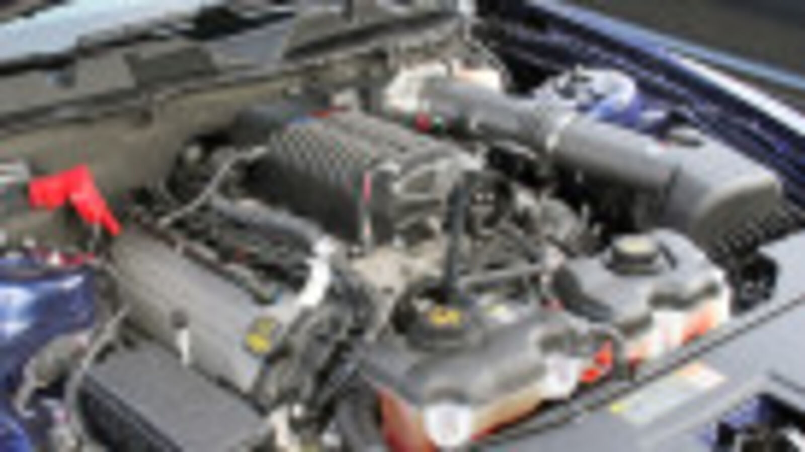 Mustang 5.0Liter Supercharger A 624 HP TireShredding Bargain