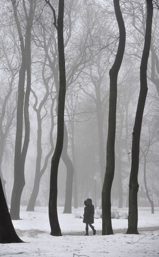 Illustration for article titled Walking In A Winter Wonderland