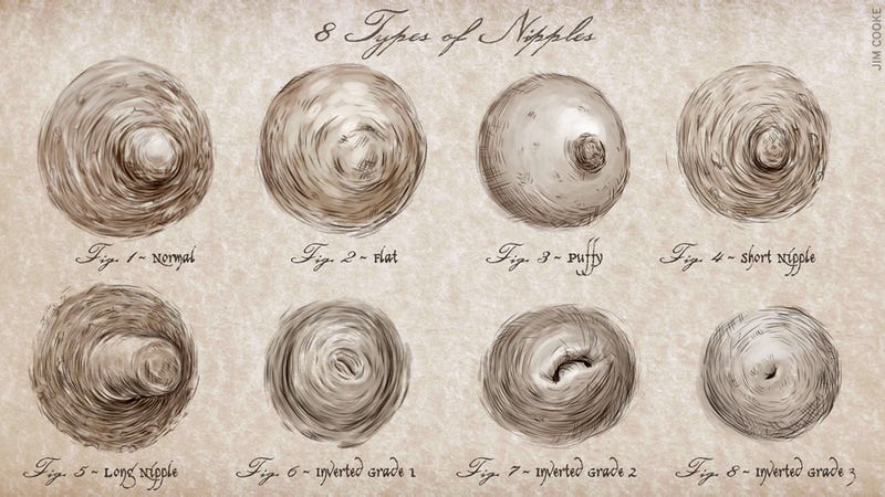Types Of Female Nipples 111