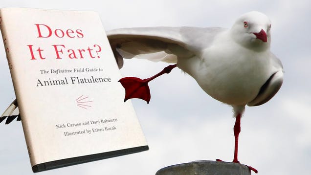 Finally, There's a Book About Which Animals Fart