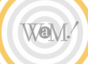 Illustration for article titled The WAM! Auction: Awesome Items, Great Cause