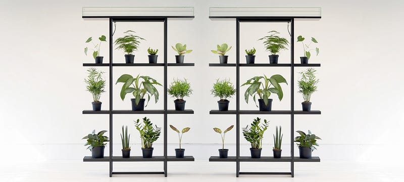 Illustration for article titled Shelving That Automatically Waters Your Plants, Even When You Forget
