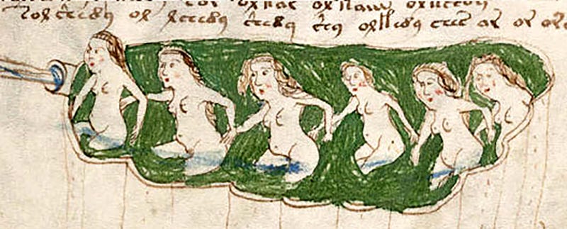 Illustration for article titled Códice Voynich: el manuscrito cifrado que nadie ha podido resolver en 600 años