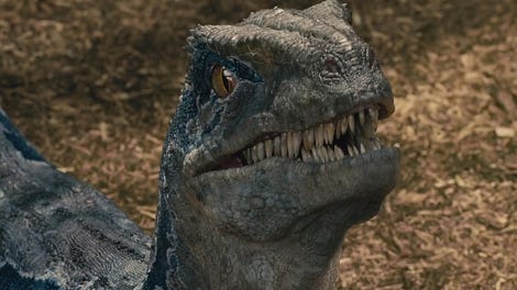 mini raptor jurassic park