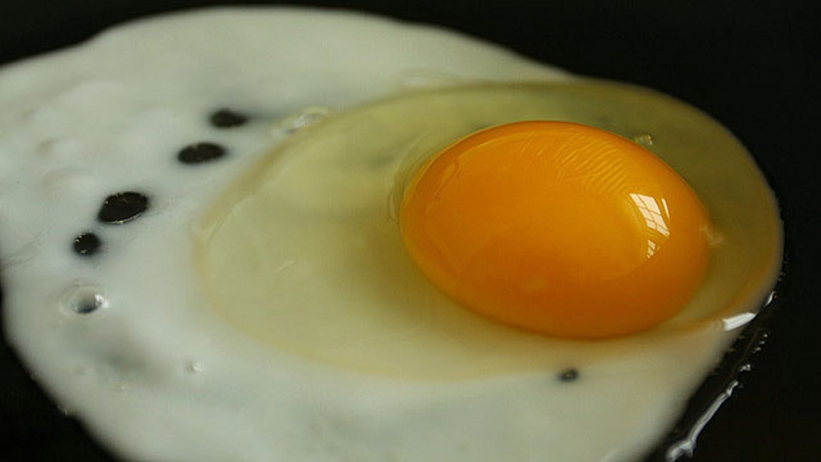 How to Cook Perfect and Delicious Eggs
