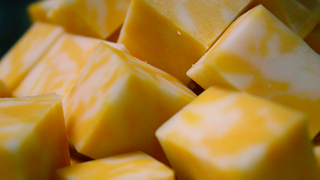 You Can Thank Genetic Engineering For Your Delicious Cheese