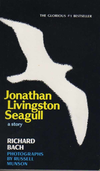 first edition jonathan livingston seagull