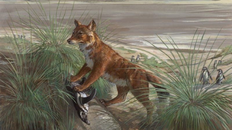 Illustration for article titled Geneticists may have just solved a 320-year-old evolutionary mystery