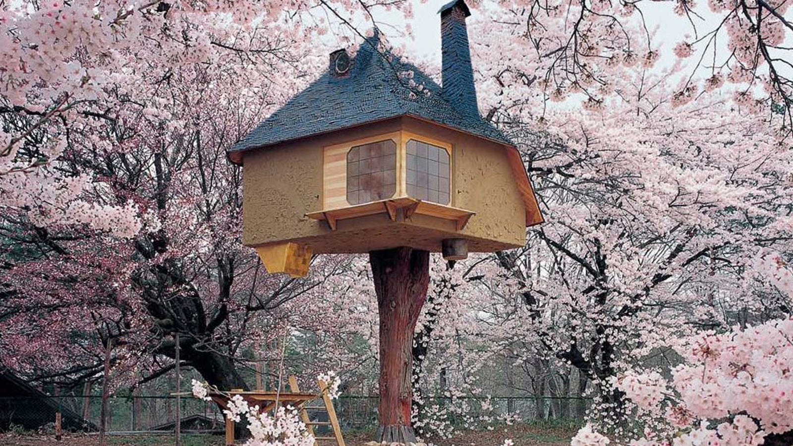 Las casas más fascinantes construidas sobre los árboles