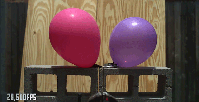 Slo-mo Footage of a Giant Knife Splitting a Projectile in Mid-Air Slo-mo Footage of a Giant Knife Splitting a Projectile in Mid-Air