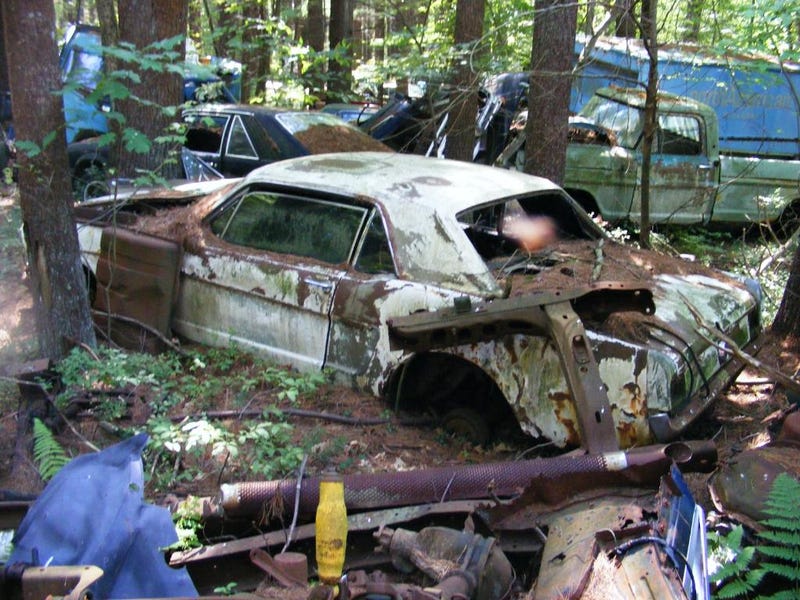 Massive Secret Mustang Junkyard Found In Rhode Island Forest