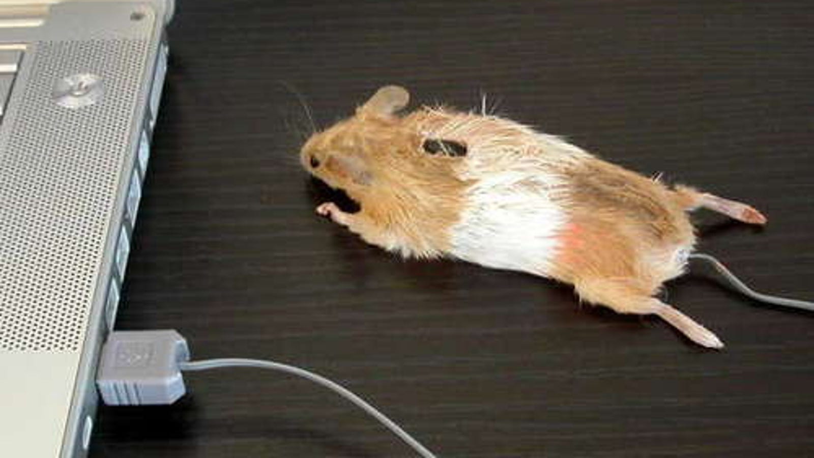 Перестала работать мышь на столе