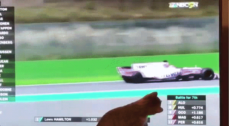 Cat Enjoys Car Racing