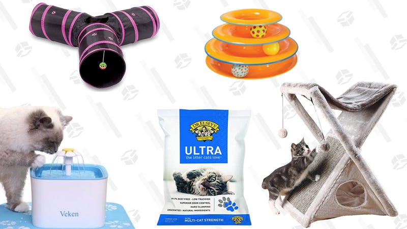 Illustration for article titled Everything You Need To Buy Before You Adopt Your First Cat
