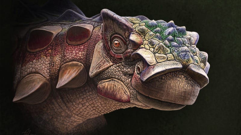 types of armored dinosaurs
