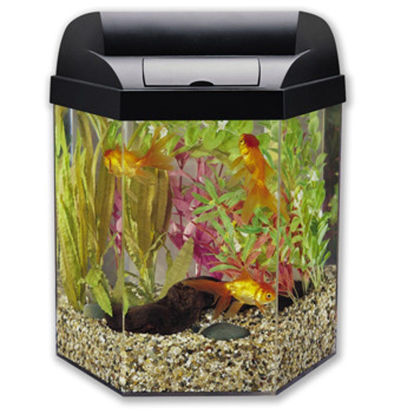 Fish Tank For The Office Desk Wegilly Com