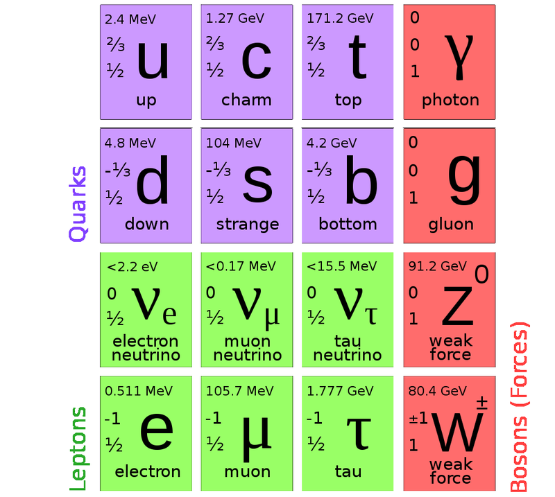 standard model particles