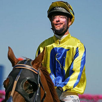 Illustration for article titled Radiohead The Horse Finds Critical Success, Popular Acclaim To Follow