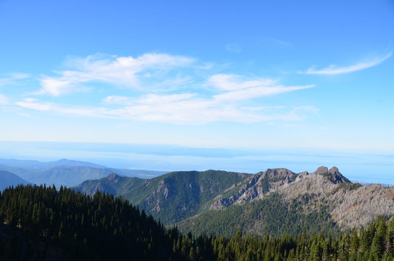 Hurricane Ridge circa the first road trip in 2015.