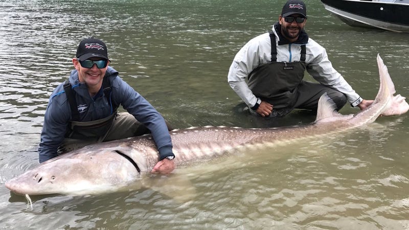 Photo Credit: Sturgeon Slayers