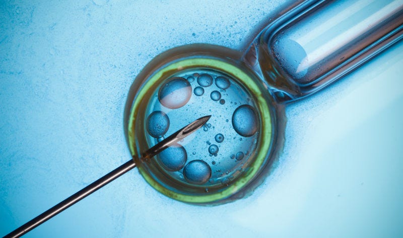 Image: Shutterstock