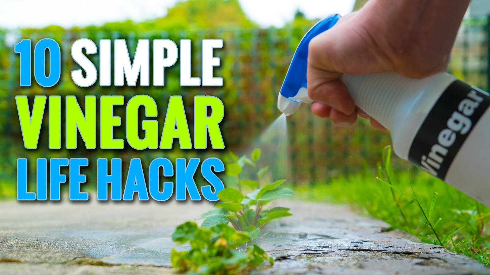 Remove Mineral Buildup From a Faucet With a VinegarSoaked Cotton Ball