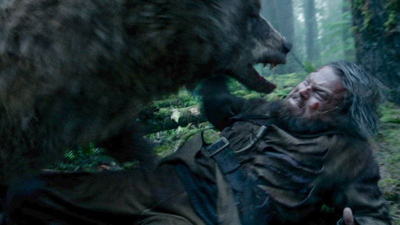 A totally consensual interaction between bear and man