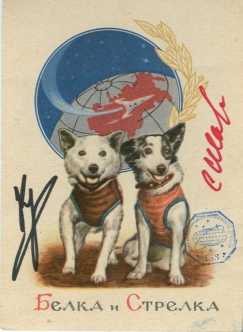 The adorable kitsch of the USSR's dog astronauts