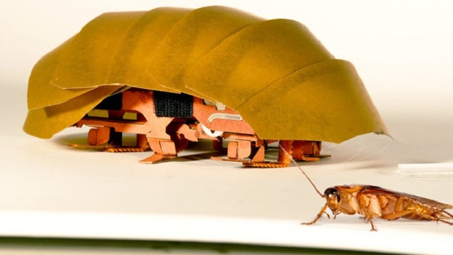 photo of Scientists Created a Badass Robotic Roach to Explore Rubble After a Disaster image