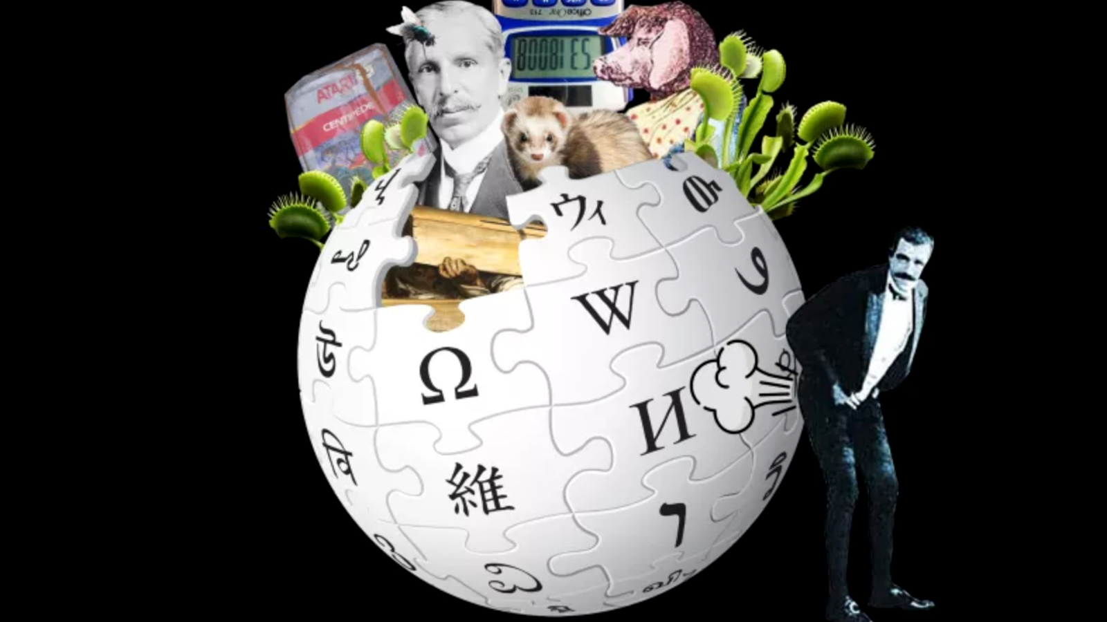 The Best Unusual Articles on Wikipedia