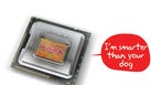 Article preview thumbnail