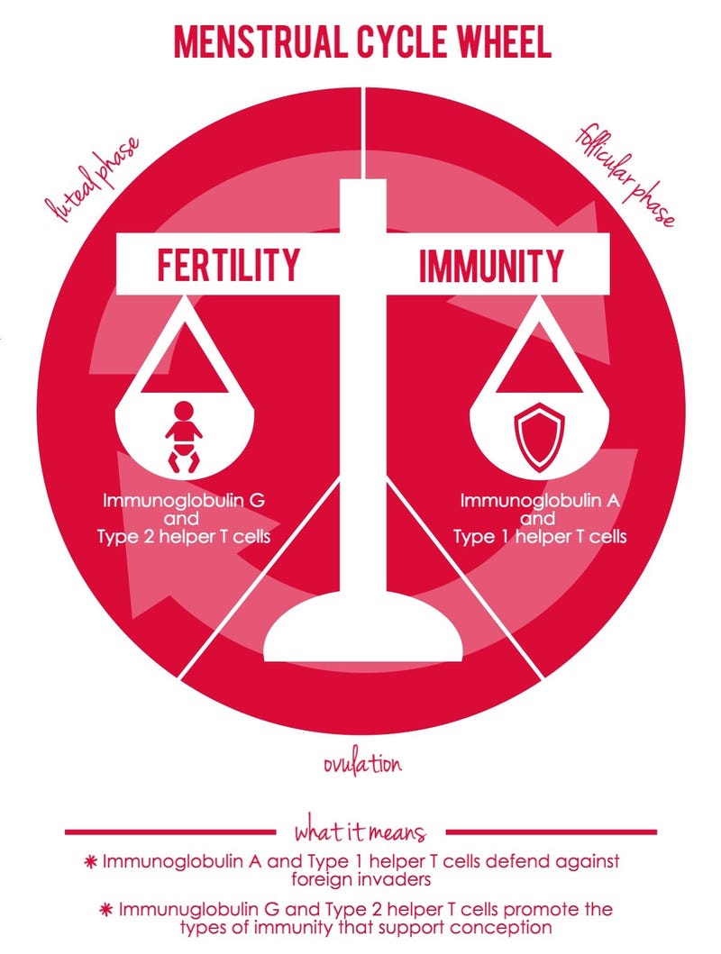 How Often Sex Trying To Conceive