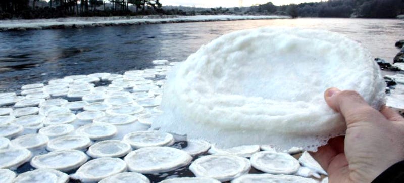 Illustration for article titled These Mysterious Ice Pancakes Have Taken Over a Scottish River