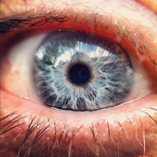 51 Extreme Close-Ups of Eyes