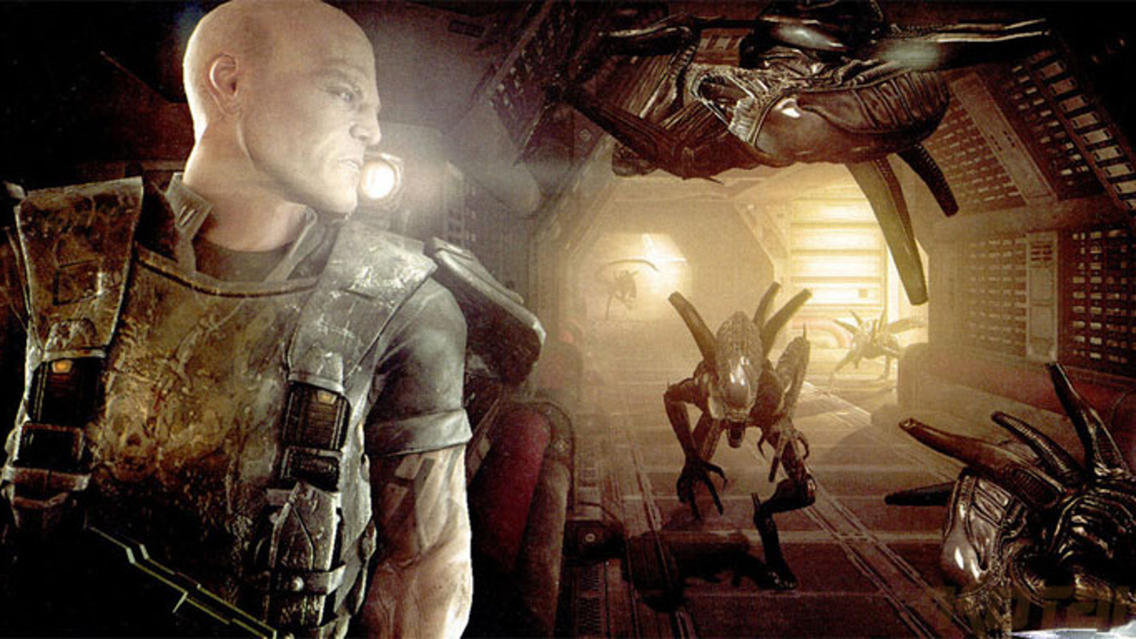 download new alien vs predator movie 2022