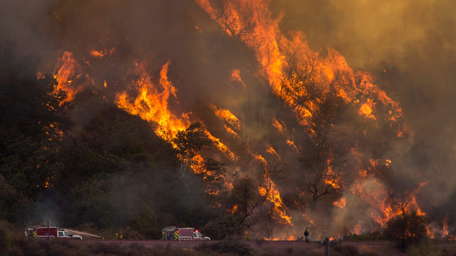 California Is Prioritizing Mental Health Among Firefighters as Climate Change Worsens Wildfires - Gizmodo