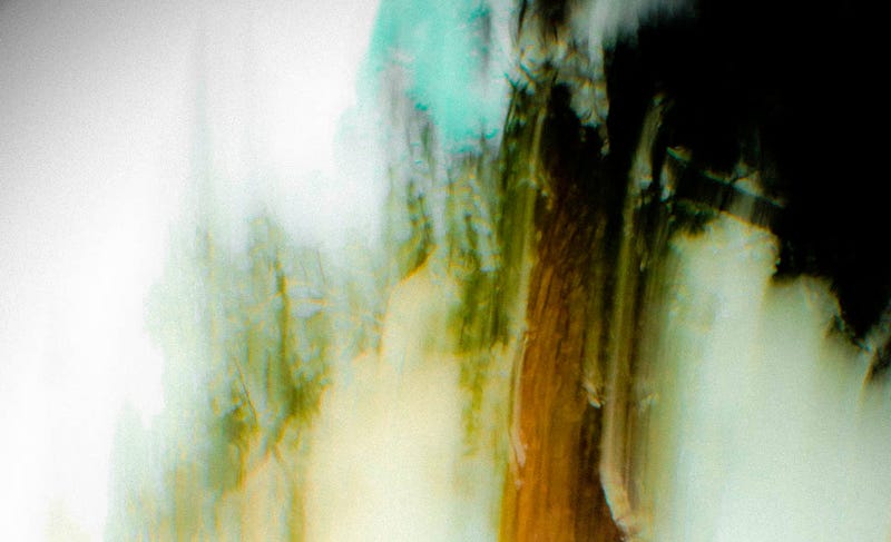 Illustration for article titled 71 Failed Photographs...That Turned Out Incredible