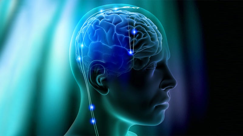 Illustration for article titled A Brain Implant That Treats Severe Eating Disorders