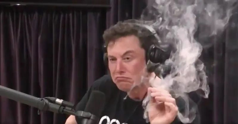 Bad news, everyone: Elon Musk has discovered the "absolute ...