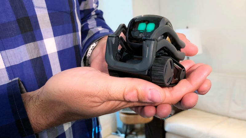 Anki Inc. CEO Boris Sofman holding a Vector robot in July 2018.