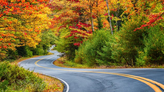 Use This Map to Plan Your Fall Foliage Trip Before Everything Is Booked