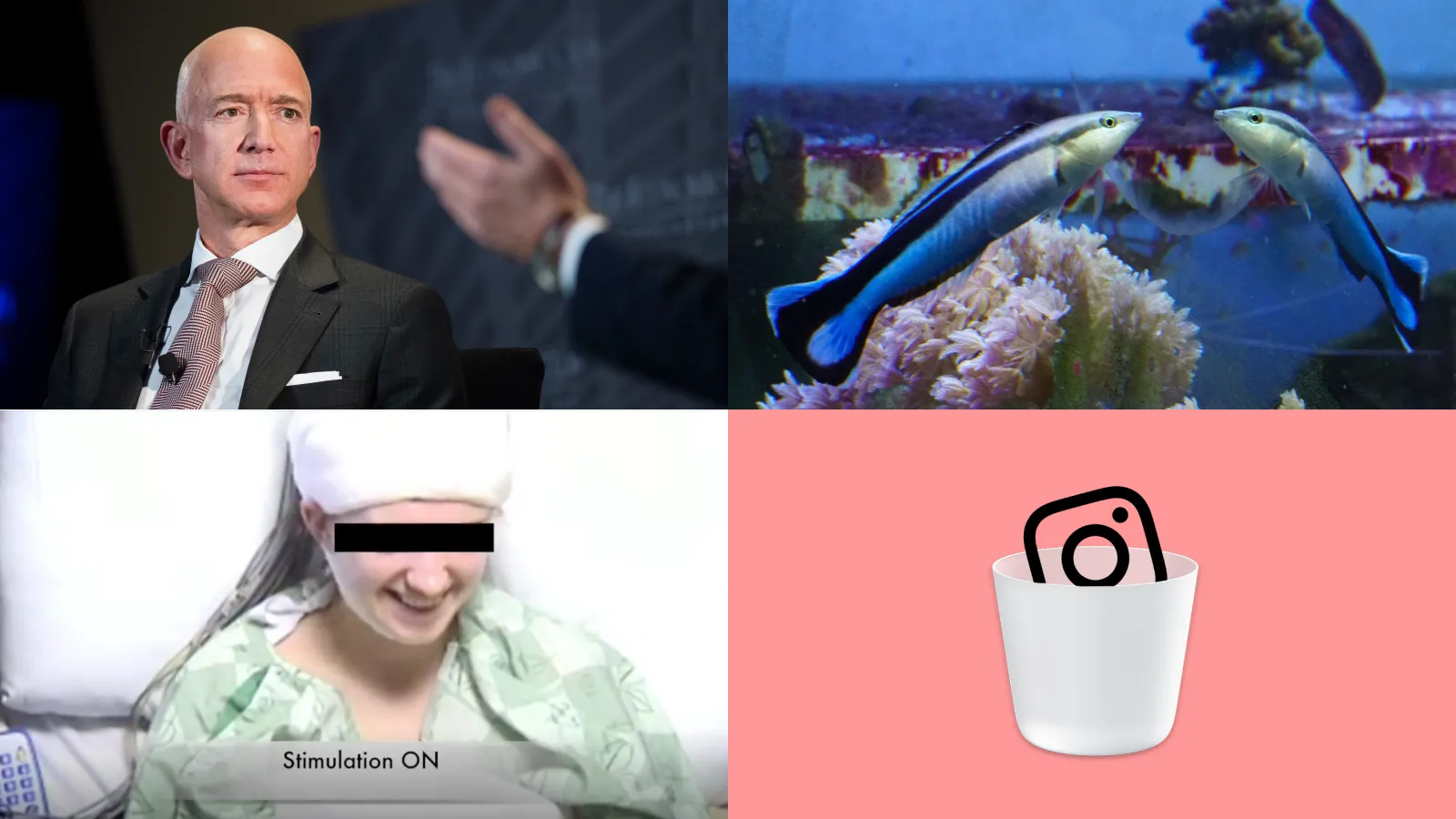 Jeff Bezos Nudes, Self-Aware Fish, and Brain Zapping: Best Gizmodo Stories of the Week