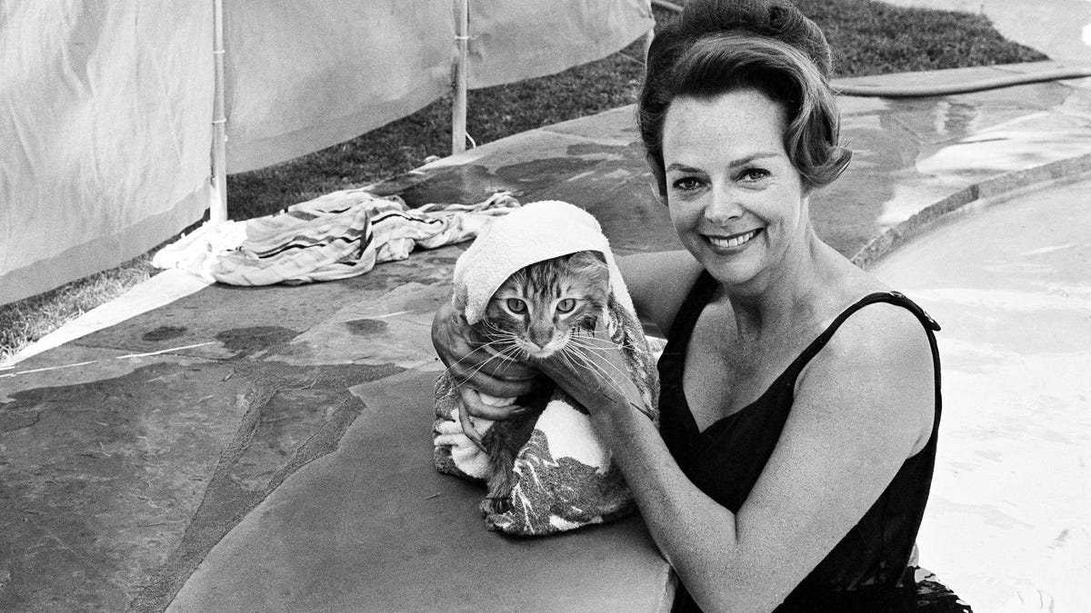 2019 year - June Lockhart 2019 year